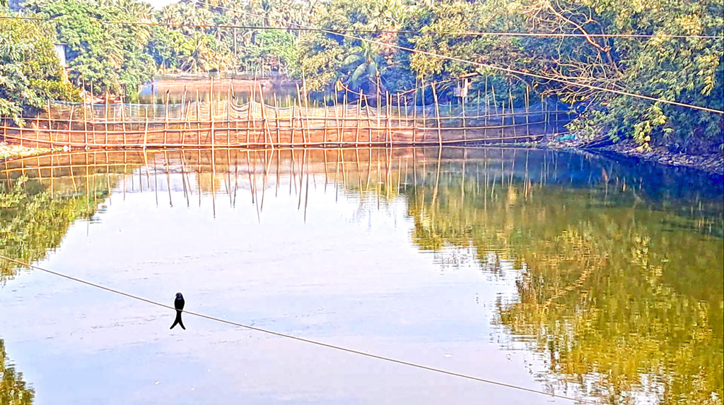 চাঁদপুর সেচ প্রকল্প: ৩৫৪ কিমি খাল দখল-ভরাট