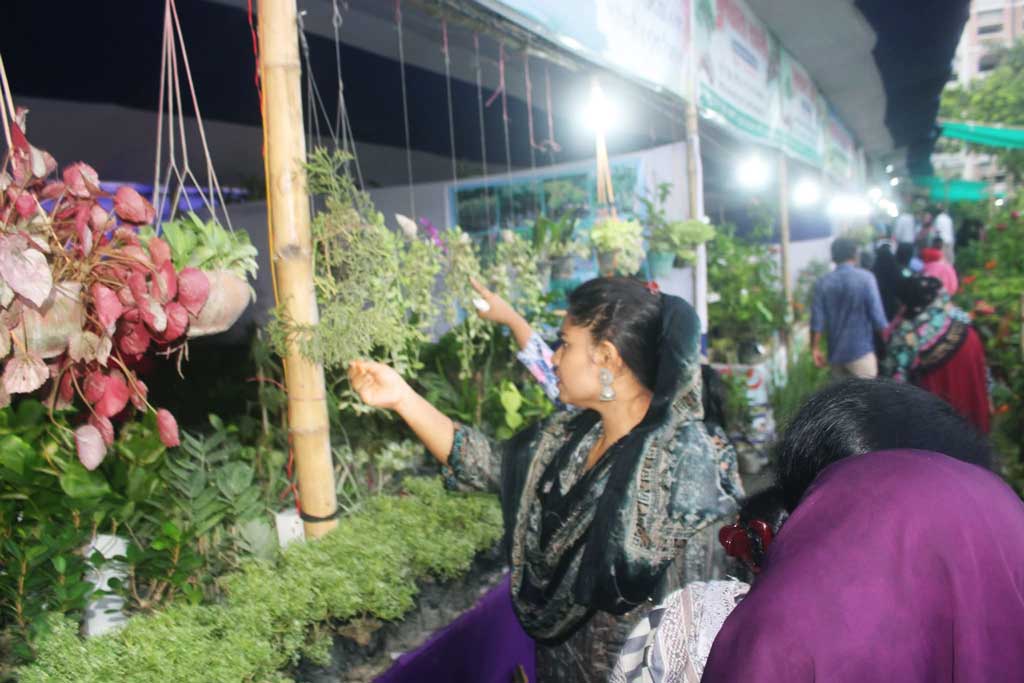 খুলনায় বৃক্ষমেলায় ১৩ দিনে ২৫ লাখ টাকার চারা বিক্রি
