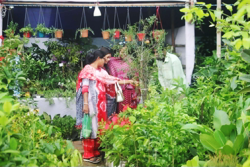 খুলনায় মাসব্যাপী বৃক্ষমেলা: ১১ দিনেই ৩০ লাখ টাকার চারা বিক্রি