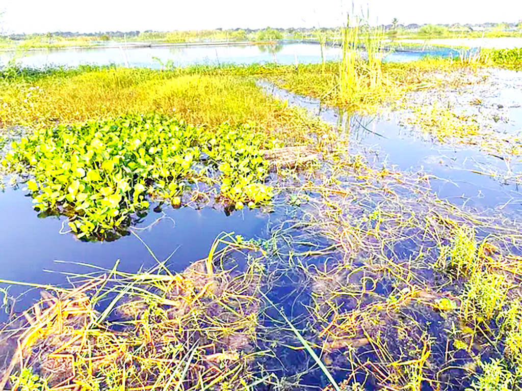 খুলনার ৮ উপজেলা: বছরজুড়েই জলাবদ্ধতা, ক্ষতি শতকোটি টাকার