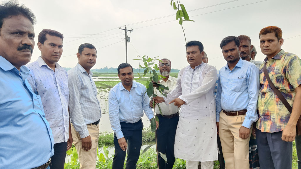 খানসামায় একযোগে ৪২ হাজার বৃক্ষরোপণ