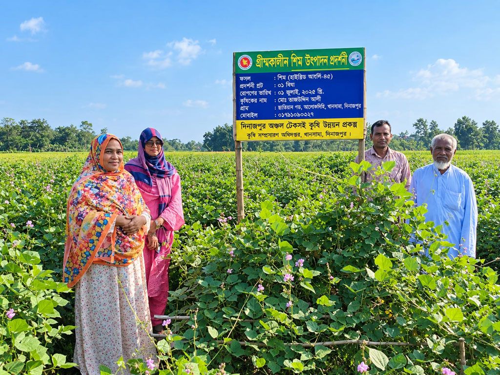 খানসামায় গ্রীষ্মকালীন শিম চাষে সাফল্য