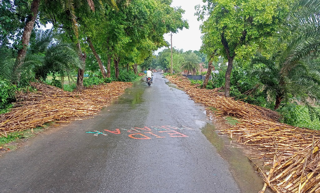 রাস্তায় স মিলের কাঠ, শুকানো হচ্ছে খড়ির স্তূপ, বাড়ছে দুর্ঘটনার ভয়