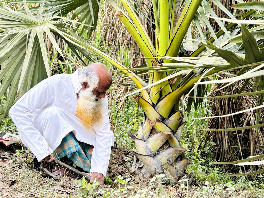 শহীদদের স্মরণে তা‌লগাছে লক্ষ্য ছাড়ালেন খোরশেদ