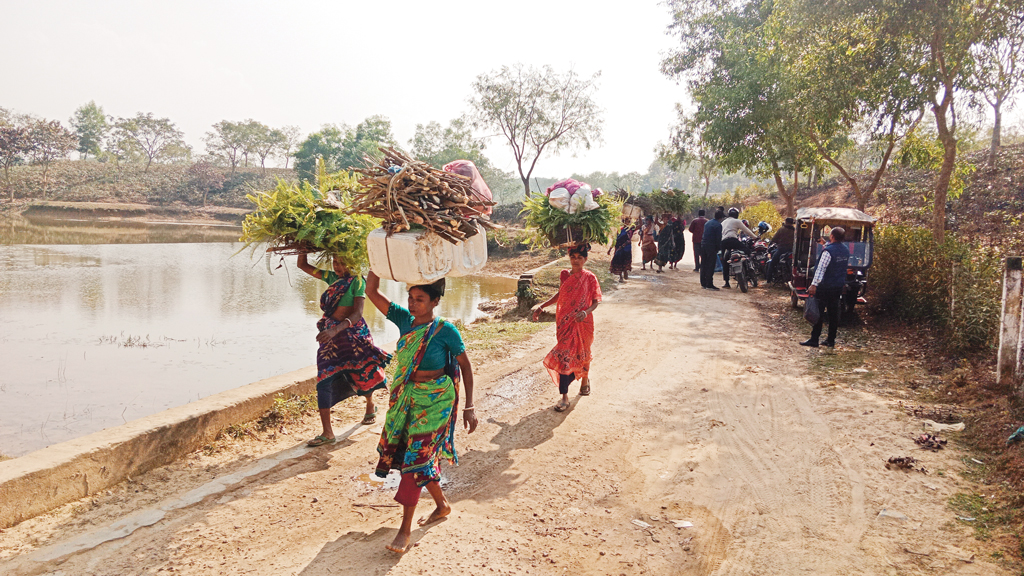 মৌলভীবাজারের কমলগঞ্জ: ভাগ্য বদলায়নি, কষ্টে দিন পার চা-শ্রমিকের