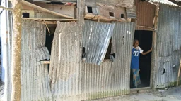 চালতা পাড়া নিয়ে বিরোধে ঘরবাড়িতে তাণ্ডব, কাটা পড়ল অর্ধশতাধিক গাছ