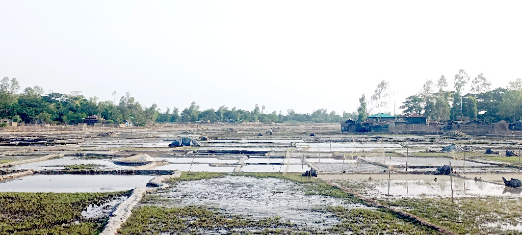১১১ মিলিমিটার বৃষ্টিতে ডুবল কক্সবাজার, ফের বন্ধ লবণ উৎপাদন