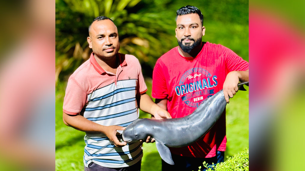 কক্সবাজার সৈকতে আবারও ভেসে এল মরা পরপইস