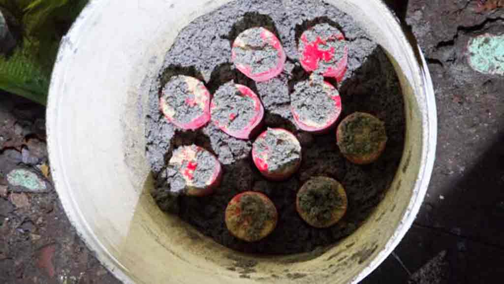 দক্ষিণ দনিয়ায় পরিত্যক্ত ব্যাগ থেকে ১০টি ককটেল উদ্ধার