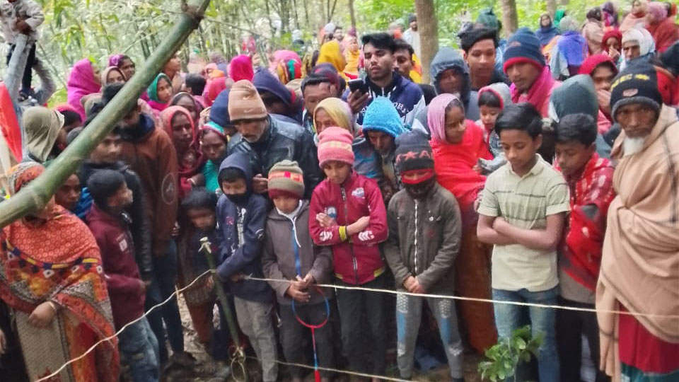 দৌলতপুরে বাঁশবাগানে পড়ে ছিল কলেজছাত্রের লাশ