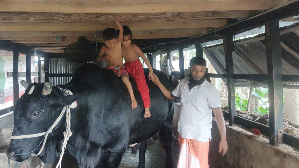 খালেদা জিয়াকে ‘কালোমানিক’ উপহার দিতে চান এক কৃষক