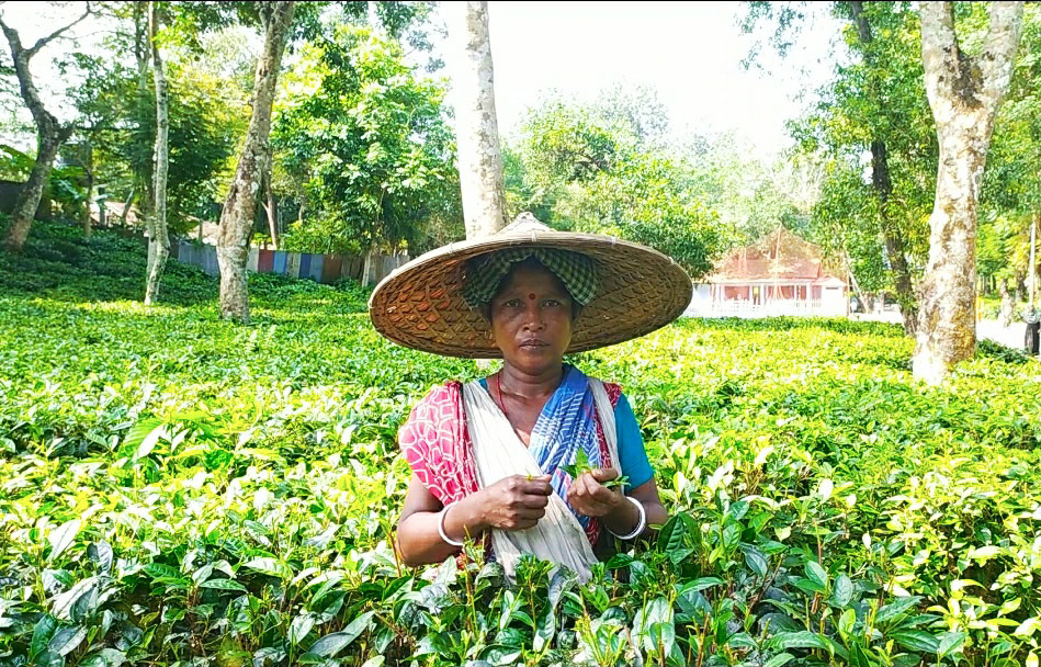 ‘এ রকম দুখিয়া দুখিয়া আমরা মরতে চাই না’