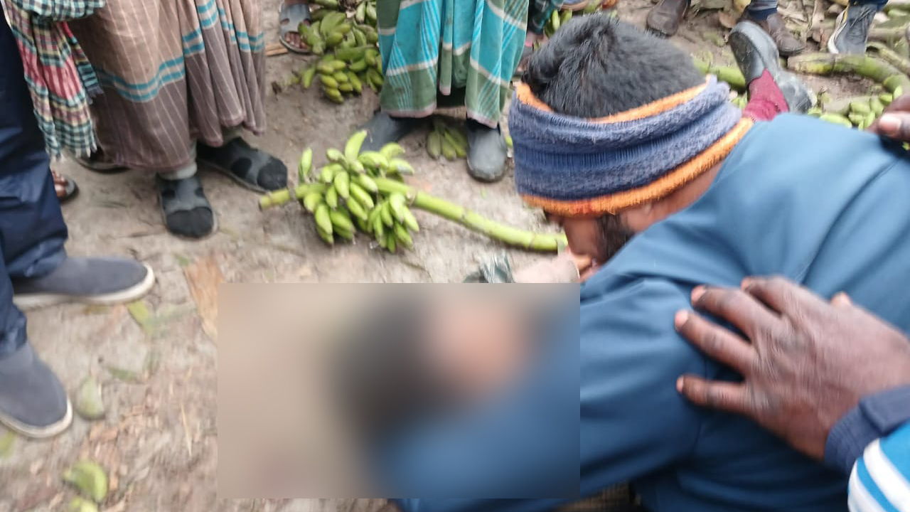 রাজশাহীতে কলার হাটে উল্টে পড়ল ড্রাম ট্রাক, নিহত ৪