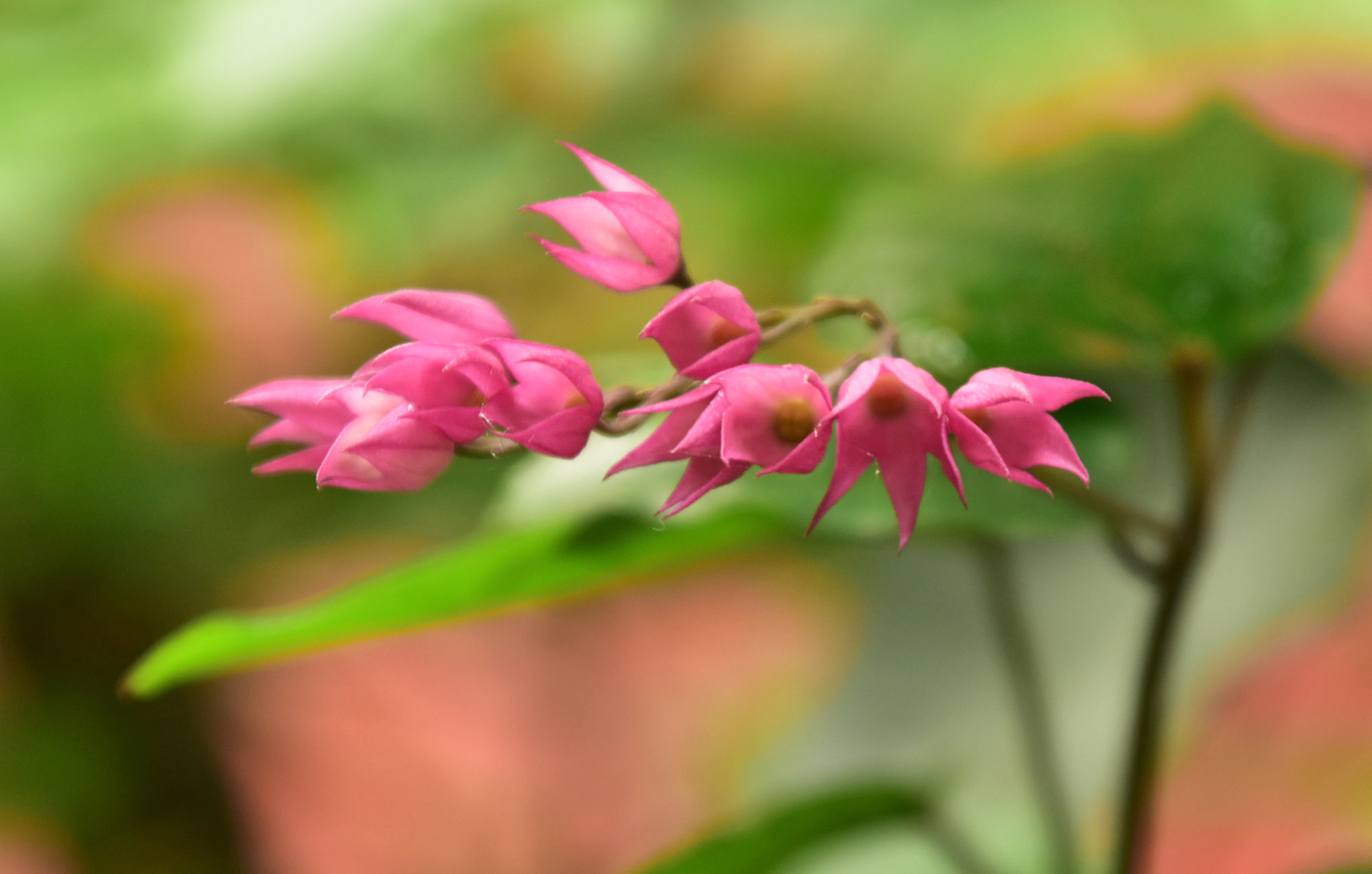 দিনের ছবি (২৯ জুন, ২০২৫)