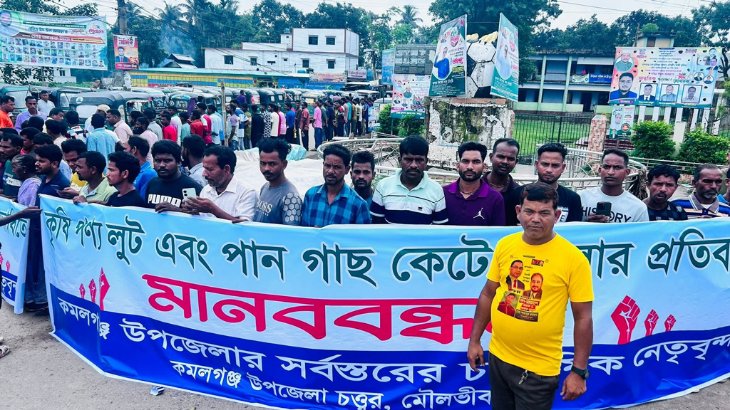কমলগঞ্জে কৃষিপণ্য লুট ও পানগাছ কাটার প্রতিবাদে মানববন্ধন, তদন্ত ও ক্ষতিপূরণ দাবি