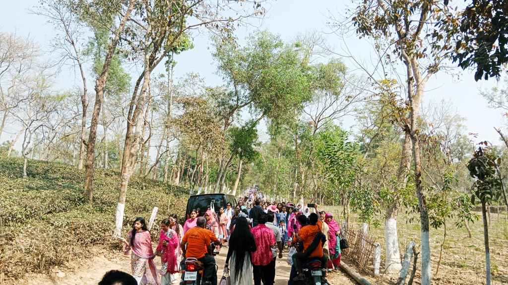 রোজার আগে কমলগঞ্জে পর্যটকদের উপচে পড়া ভিড়