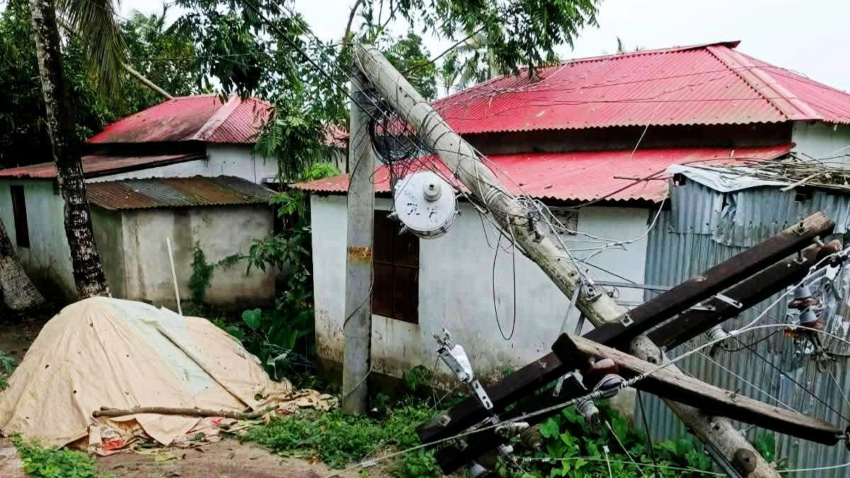 গাছ পড়ে, তার ছিঁড়ে কুমিল্লায় বিদ্যুৎ সংযোগ বিপর্যস্ত
