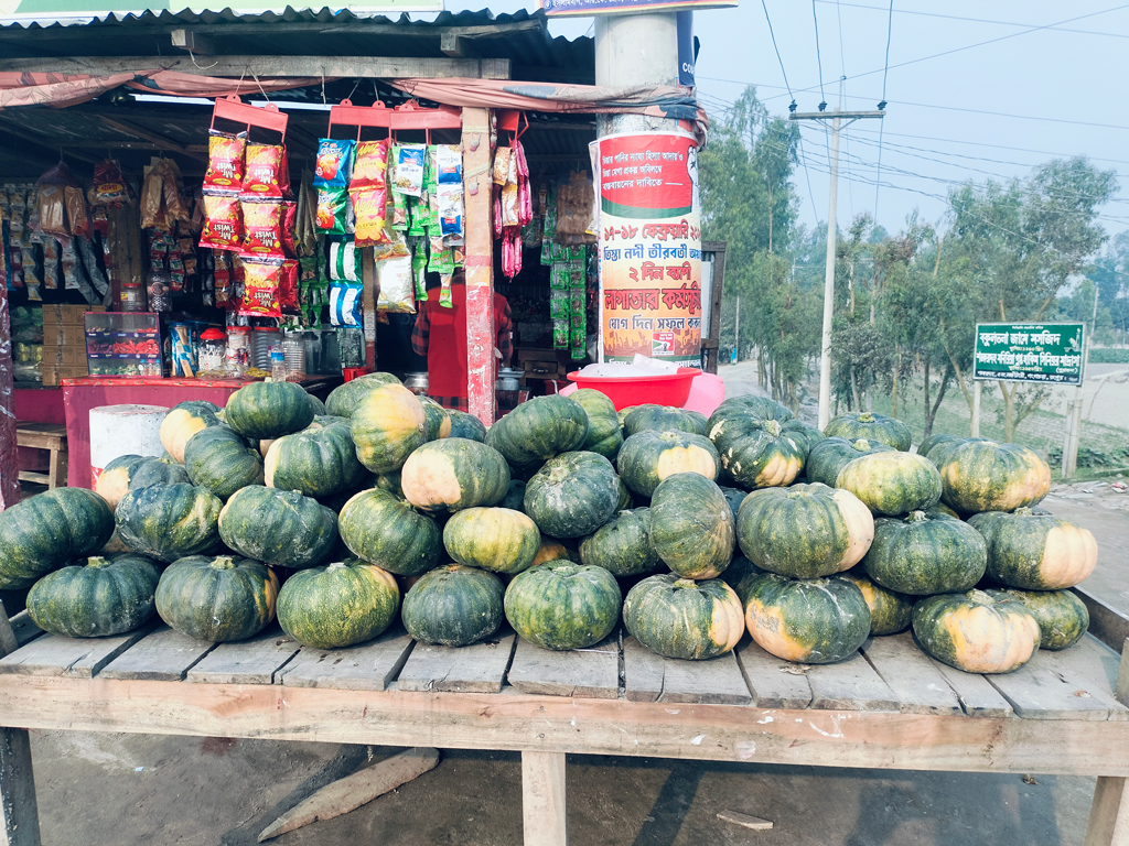 তিস্তায় জেগে ওঠা চড়ে চাষ করা হয়েছে মিষ্টি কুমড়া। সেসব তুলে এনে বিক্রির জন্য দোকানের সামনে থরে থরে সাজানো হচ্ছে। গংগাচড়ার লক্ষ্মীটারি ইউনিয়নের মহিপুর শেখ হাসিনা সেতু এলাকা, রংপুর। ছবি: আব্দুর রহিম পায়েল