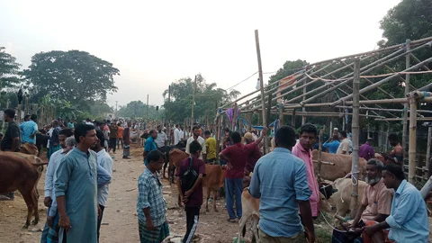 পশুর হাটে লাখে ৫ হাজার টাকা হাসিল, তদারকি নেই প্রশাসনের