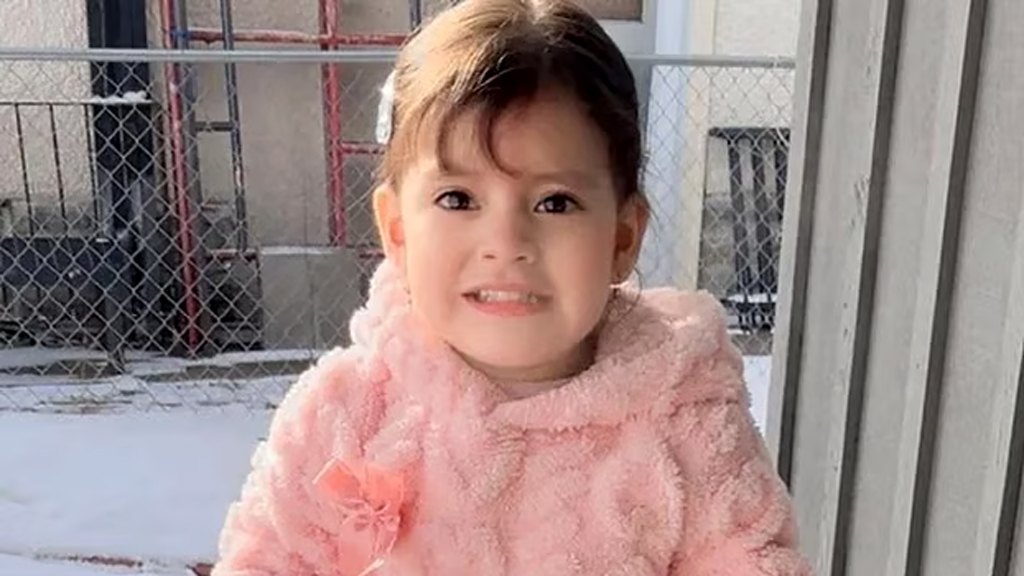 দুই বছরের শিশুকে আটক করল মার্কিন অভিবাসন পুলিশ