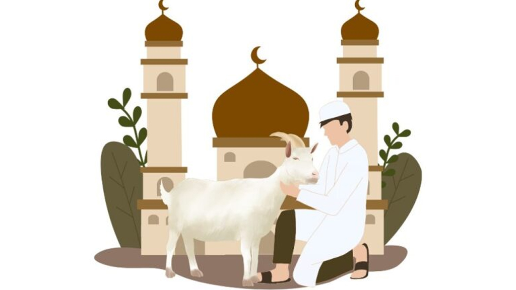 কোরবানির গোশত কি অমুসলিমদের দেওয়া যাবে