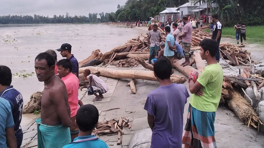 ঢলে ভেসে আসা গাছের গুঁড়ি ধরতে গিয়ে নিখোঁজ ধান ব্যবসায়ী