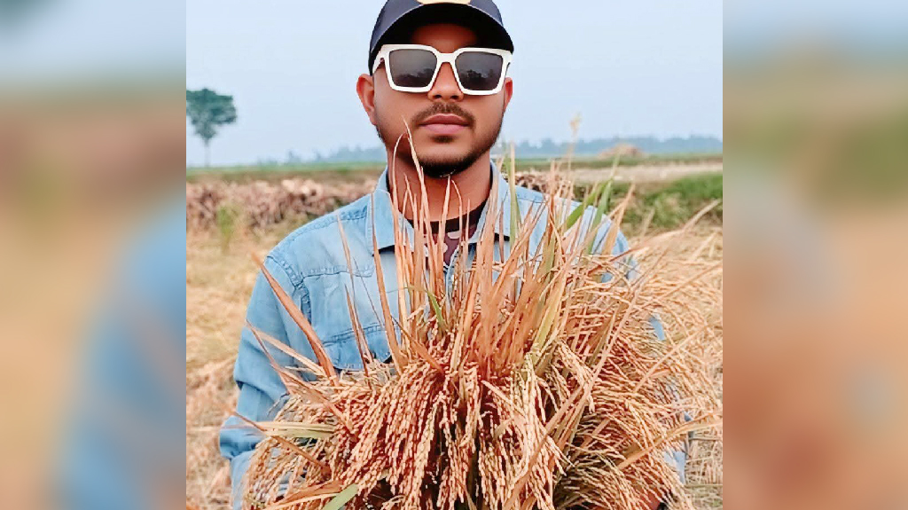 কৃষি কর্মকর্তাকে মারধর, কৃষক দলনেতাসহ ৩ জনের নামে মামলা