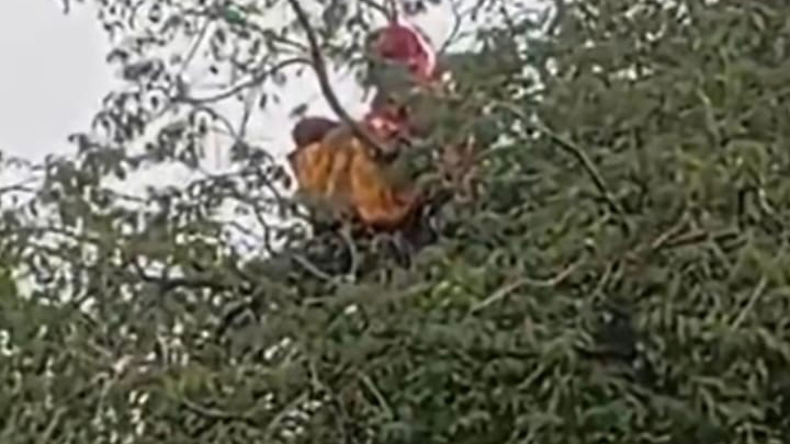 নিখোঁজের ৬ ঘণ্টা পর গৃহবধূকে পাওয়া গেল তেঁতুলগাছের মগডালে