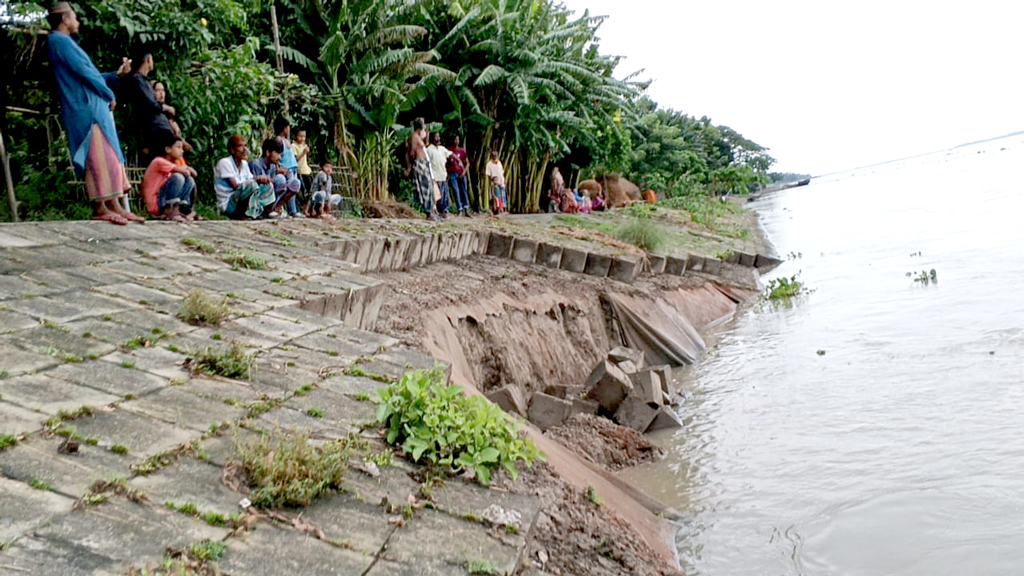 ব্রহ্মপুত্রের তীর রক্ষা বাঁধের বড় অংশজুড়ে ধস, আতঙ্কে কয়েক গ্রামের মানুষ