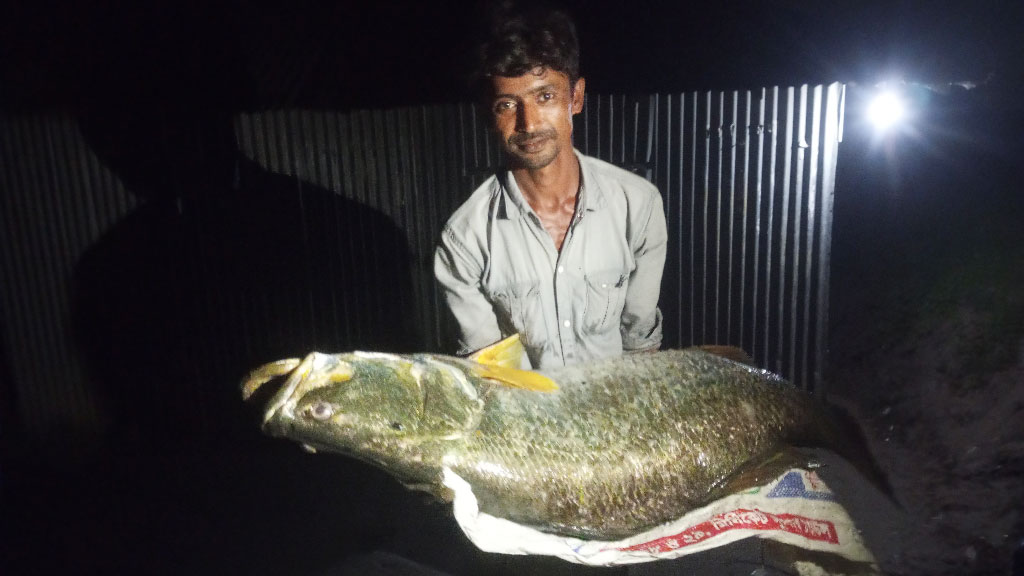 হাতিয়ায় জেলের জালে ২৫ কেজির কোরাল