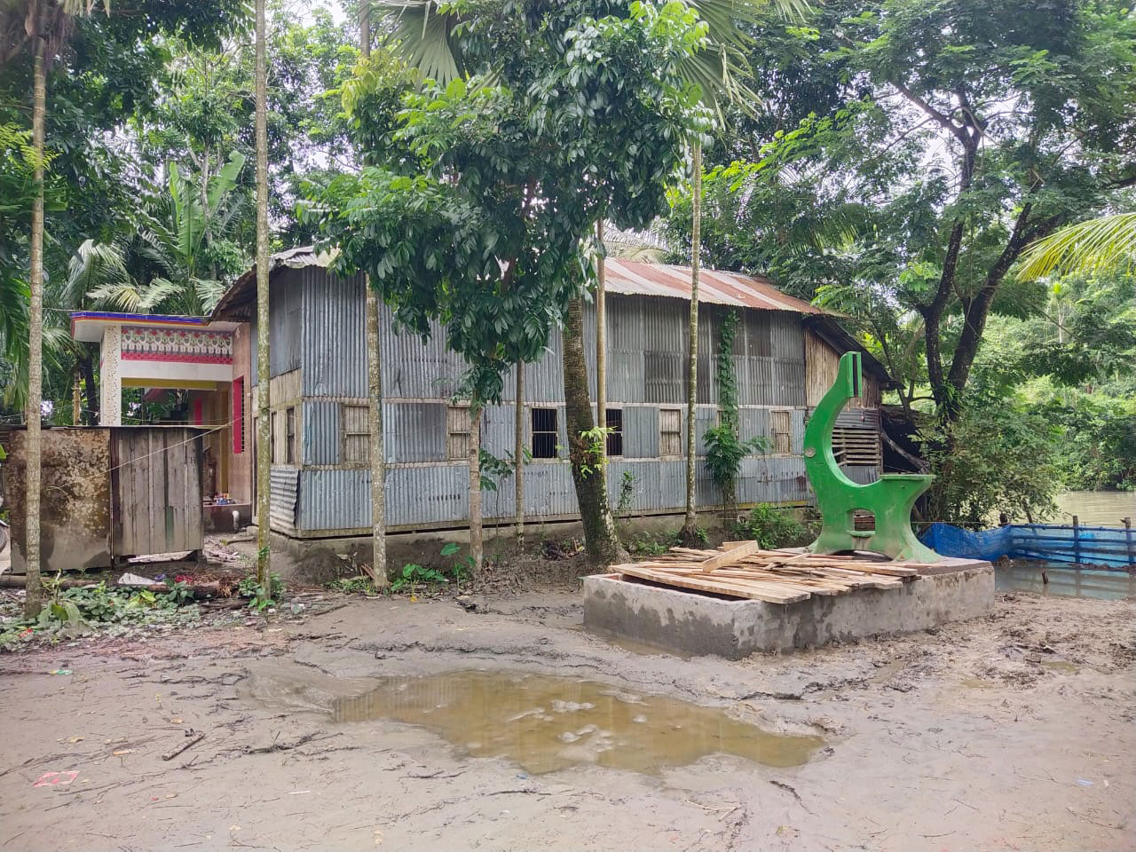 বিদ্যালয়-মাদ্রাসার পাশে করাতকল বসানোর অভিযোগ, আদালতের নিষেধাজ্ঞা অমান্য বিএনপি নেতার
