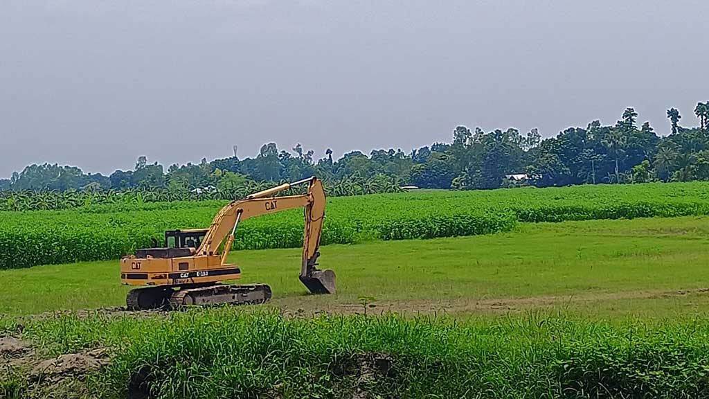 গুরুদাসপুরে কৃষিজমিতে পুকুর খনন থামছেই না, পাঁচ বছরে কমেছে ১২০ হেক্টর ফসলি জমি