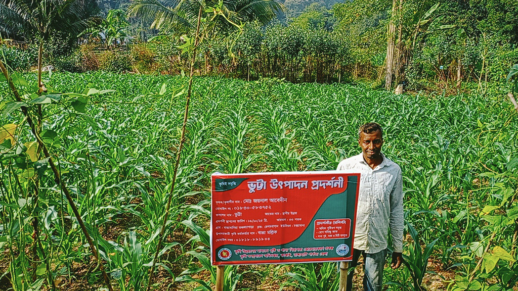 পাহাড়ে ভুট্টা চাষে ভালো ফলন পেলেন কৃষক জয়নাল