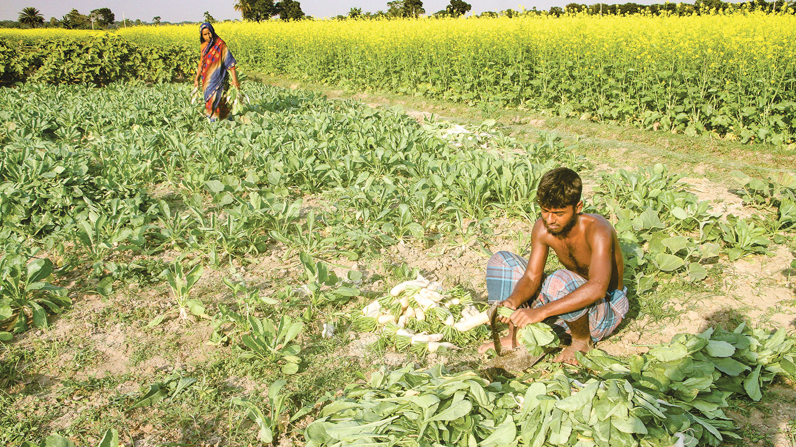 আমাদের সংকট আসলে কোথায়