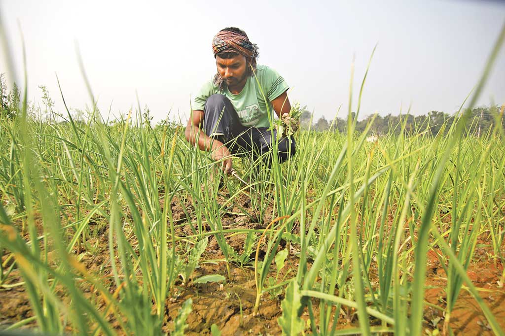কৃষকের কষ্টের কথা পাঠকও শুনতে চায় না