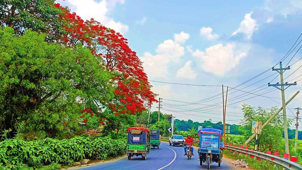জ্যৈষ্ঠের তীব্র রোদ্দুরে যখন পথঘাট জ্বলছে, মানুষের শরীর-মনে ক্লান্তি ভর করছে, তখনই প্রকৃতির রং-তুলিতে আঁকা হয় এক অনন্য দৃশ্যপট। ব্যস্ত সড়কের ধারে ধারে ফুটে থাকা কৃষ্ণচূড়ার আগুনরাঙা ফুল শুধু পথচারীর চোখেই নয়, মনেও আনে একধরনের প্রশান্তি। প্রখর গরমের মধ্যেও প্রকৃতি যেন তার নিজস্ব ভঙ্গিতে জানান দিচ্ছে—এই ঋতুরও আছে এক অন্যরকম সৌন্দর্য, রং আর রোমান্টিকতা। ছবি: আব্দুর রাজ্জাক