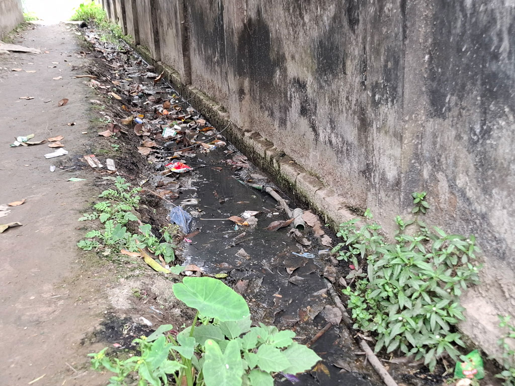 কিশোরগঞ্জে মশার দাপট: মশকনিধনে বরাদ্দ মাত্র ১ লাখ ২০ হাজার টাকা