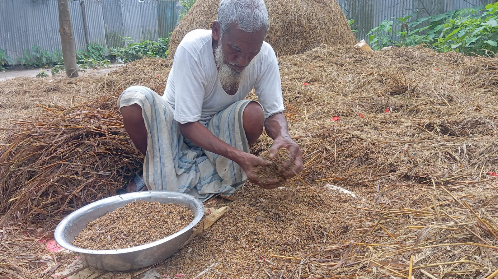 হাওরে কৃষকের ঘরে হাহাকার, মড়ার উপর খাঁড়ার ঘা ঋণের কিস্তি