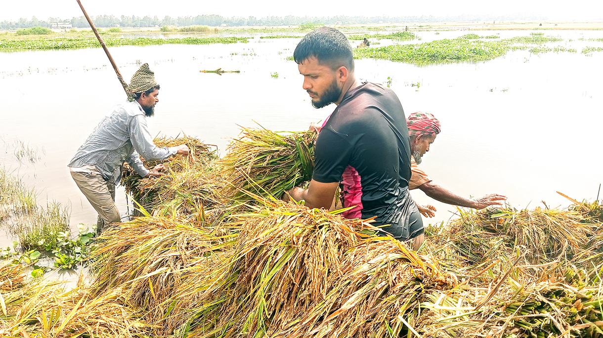 ‘সব শেষ, চোখ দিয়ে পানিও আসছে না’