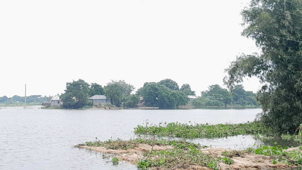 কুষ্টিয়ার দৌলতপুরে বন্যা পরিস্থিতির অবনতি