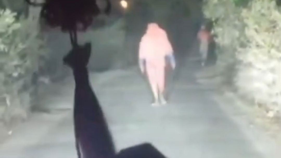 কুষ্টিয়ায় প্রাইভেট কার থামিয়ে ডাকাতি, ভিডিও ভাইরাল