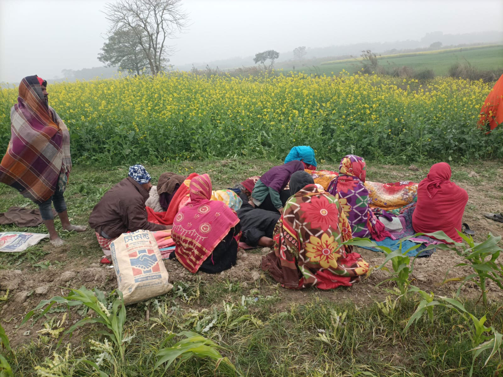 আবারও সেই ১৪ ভারতীয়কে পুশ ইনের চেষ্টা, দৌলতপুর সীমান্তে সতর্ক বিজিবি