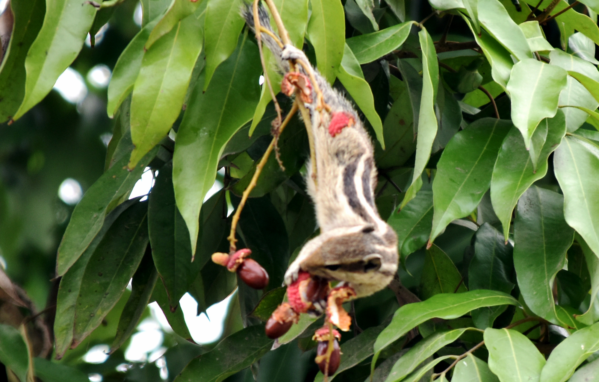 দিনের ছবি (৪ মে, ২০২৬)