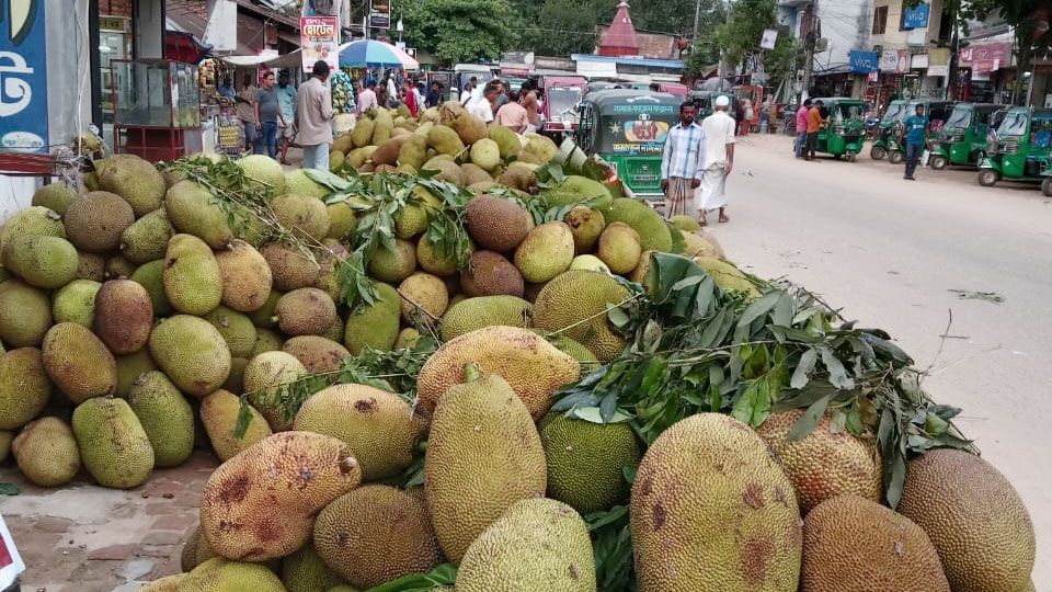 ফলে ভরপুর রামগড়, তবু কৃষকের চাপা কষ্ট