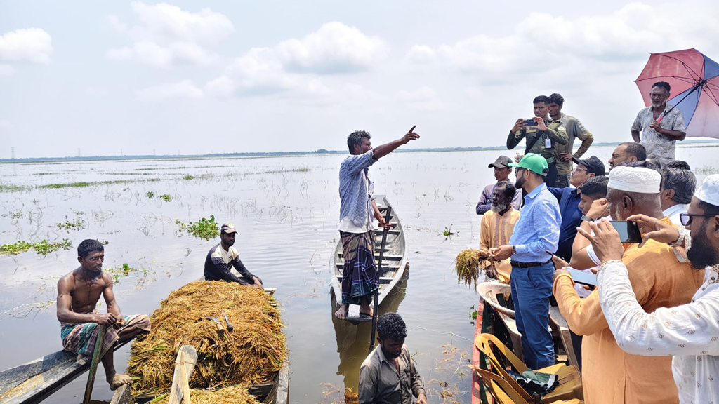 হাওরাঞ্চলের ক্ষতিগ্রস্ত কৃষক ও মৎস্যজীবীদের তালিকা প্রস্তুত হচ্ছে: জেলা প্রশাসক