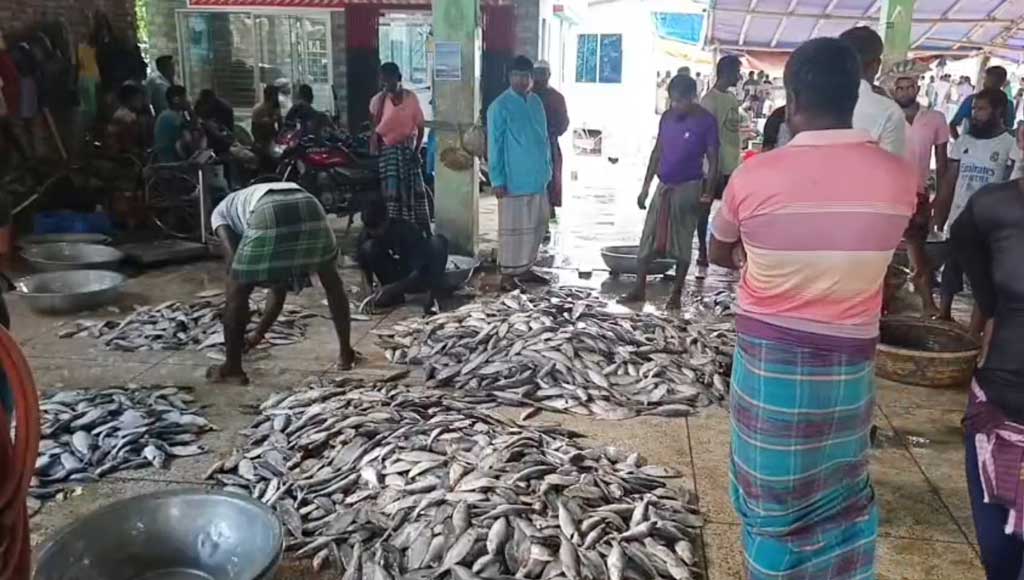 আশানুরূপ ইলিশ ধরা পড়ায় স্বস্তিতে কুয়াকাটার জেলেরা
