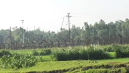 পাটগ্রাম সীমান্তে নারী-শিশুসহ ১২ জনকে পুশ ইনের চেষ্টা, বিজিবির প্রতিরোধ
