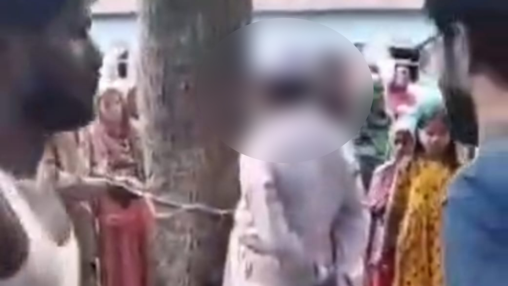প্রবাসী ছেলের ওপর ক্ষোভ, বৃদ্ধ বাবাকে গাছে বেঁধে নির্যাতন