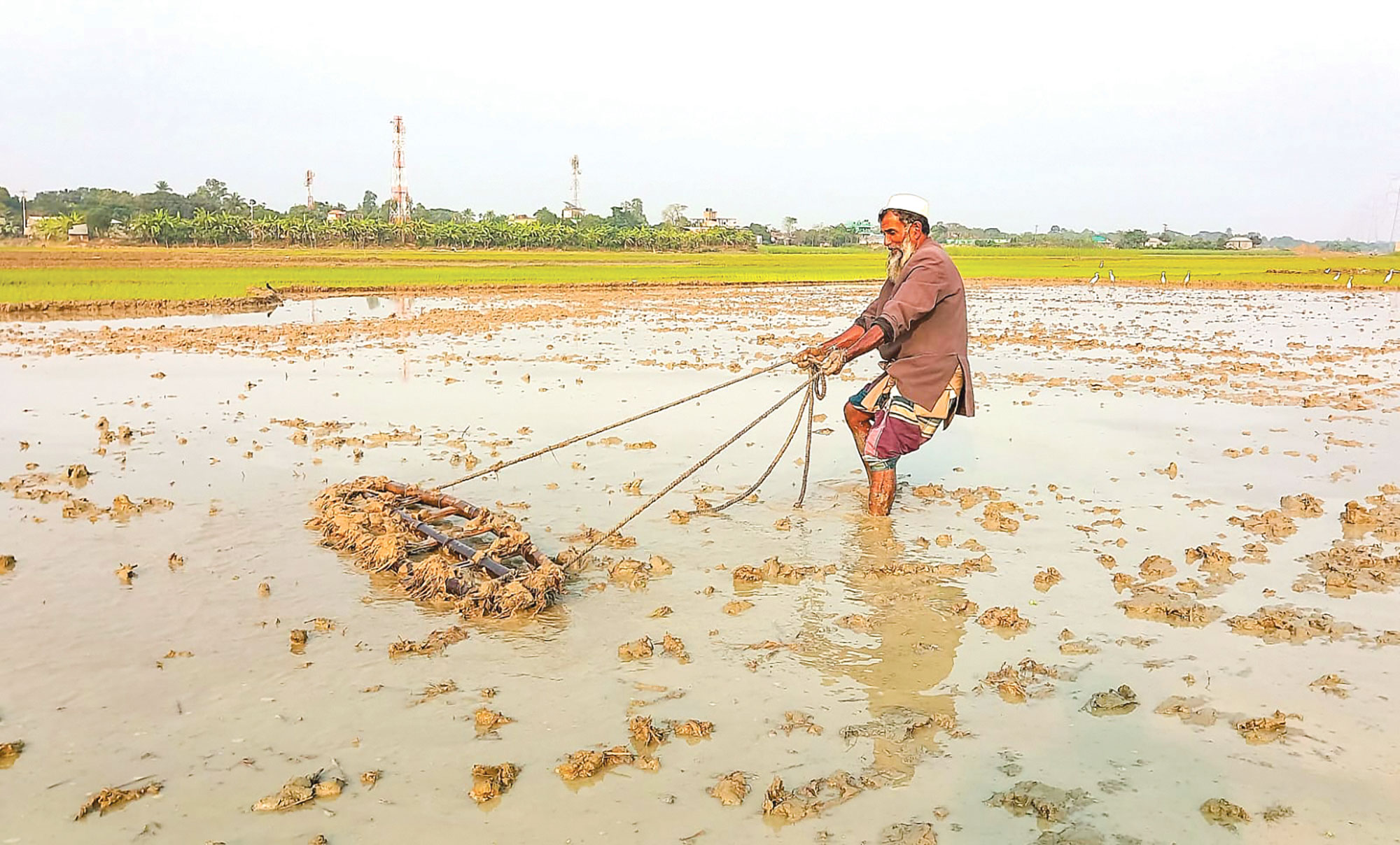 সংকটে সারের দাম বাড়তি