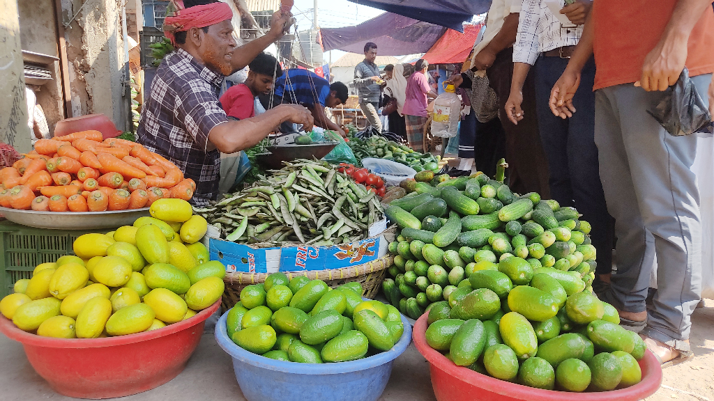 কুমিল্লার ব্রাহ্মণপাড়ায় একটি লেবুর দাম ৪০ টাকা